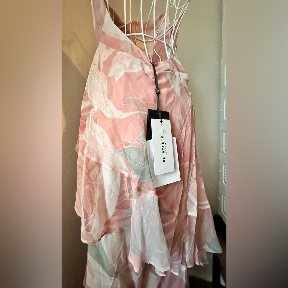 RETROFETE Samara Silk Chiffon Dress Dusty Pink Botanical ⭐️LUXURY PREMIUM⭐️ NWT - Picture 12 of 13
